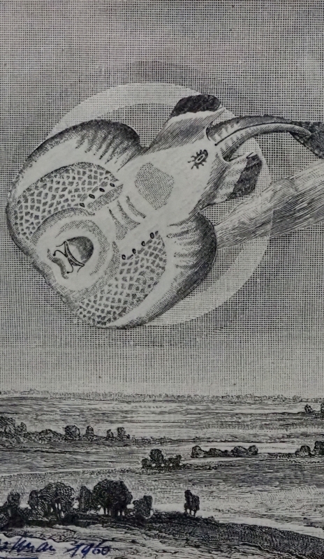 Envols - Jacques Carelman 