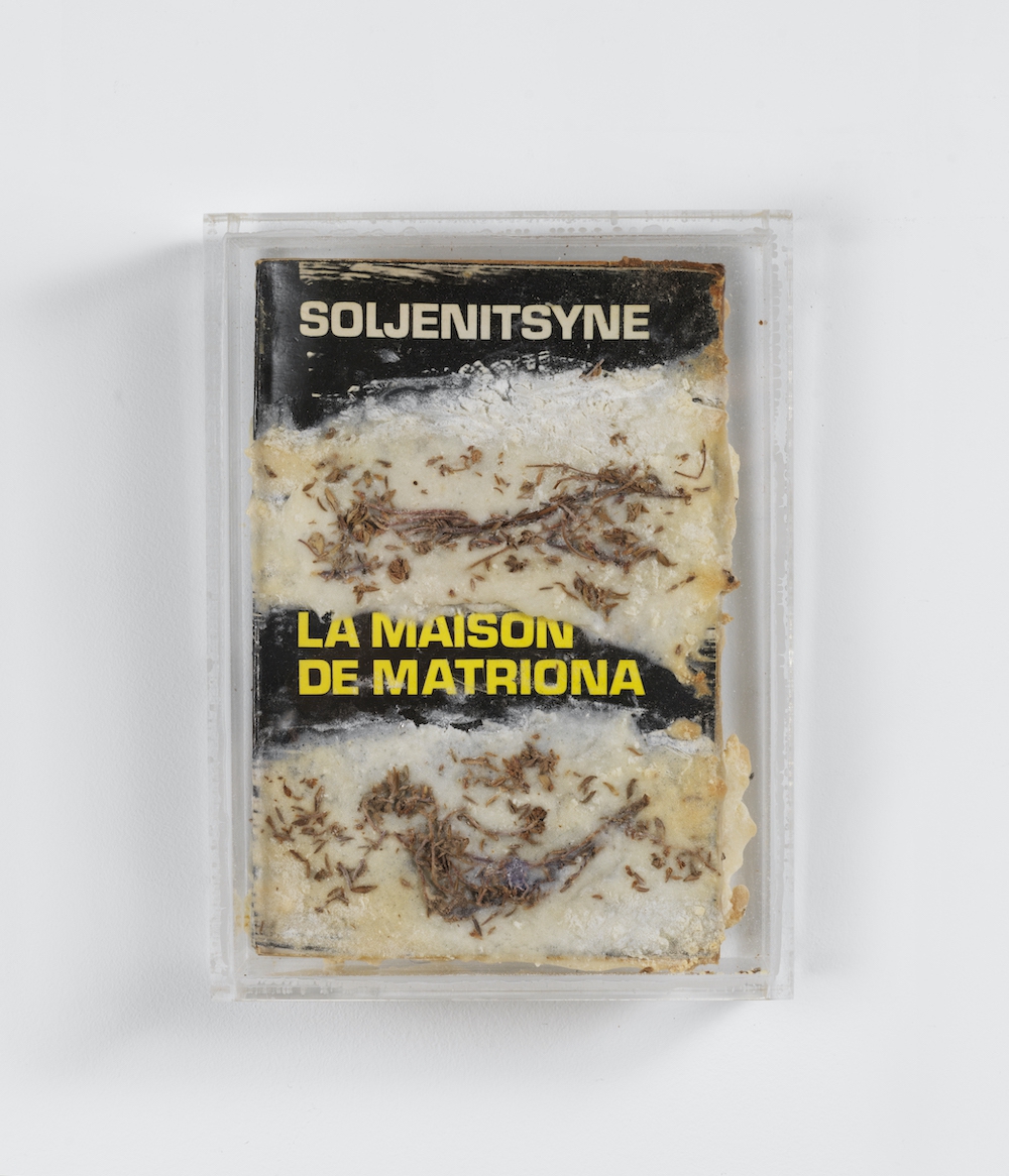 La maison de Matriona (série Les livres cuits) 