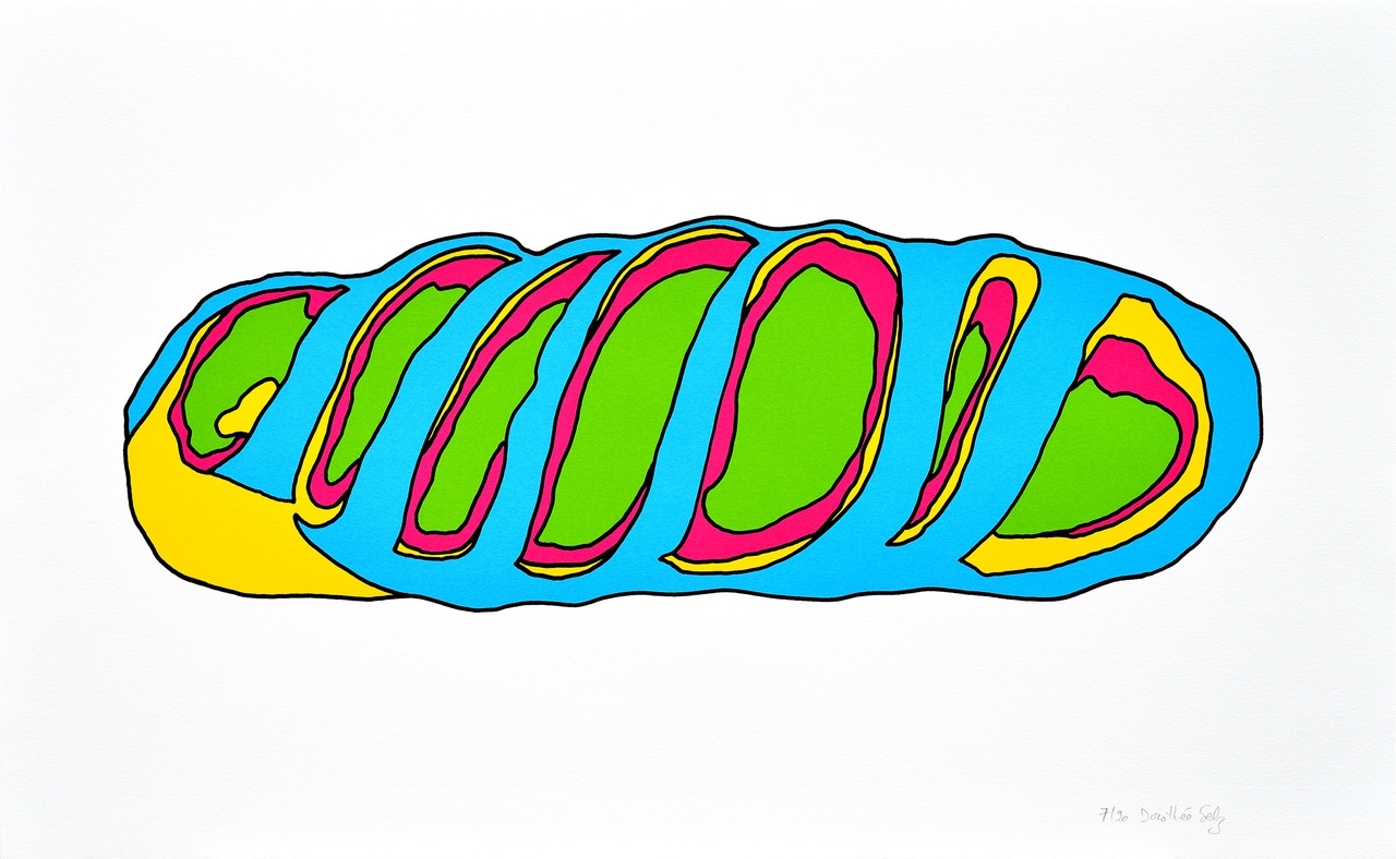 Pain coloré