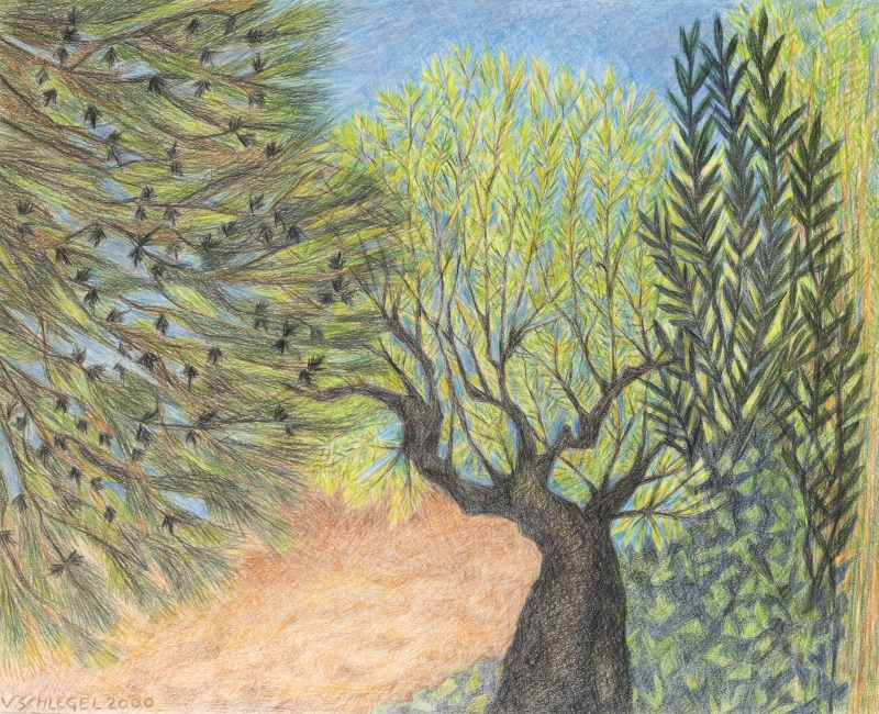 Méditerranée - Valentine Schlegel 